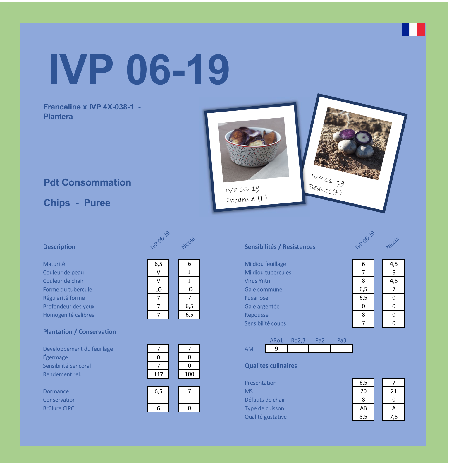 IVP 06 19 FR 2017